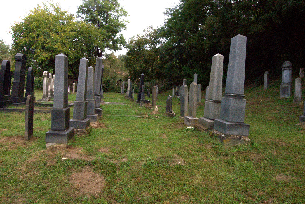 Fotka novej časti cintorína rad C a D