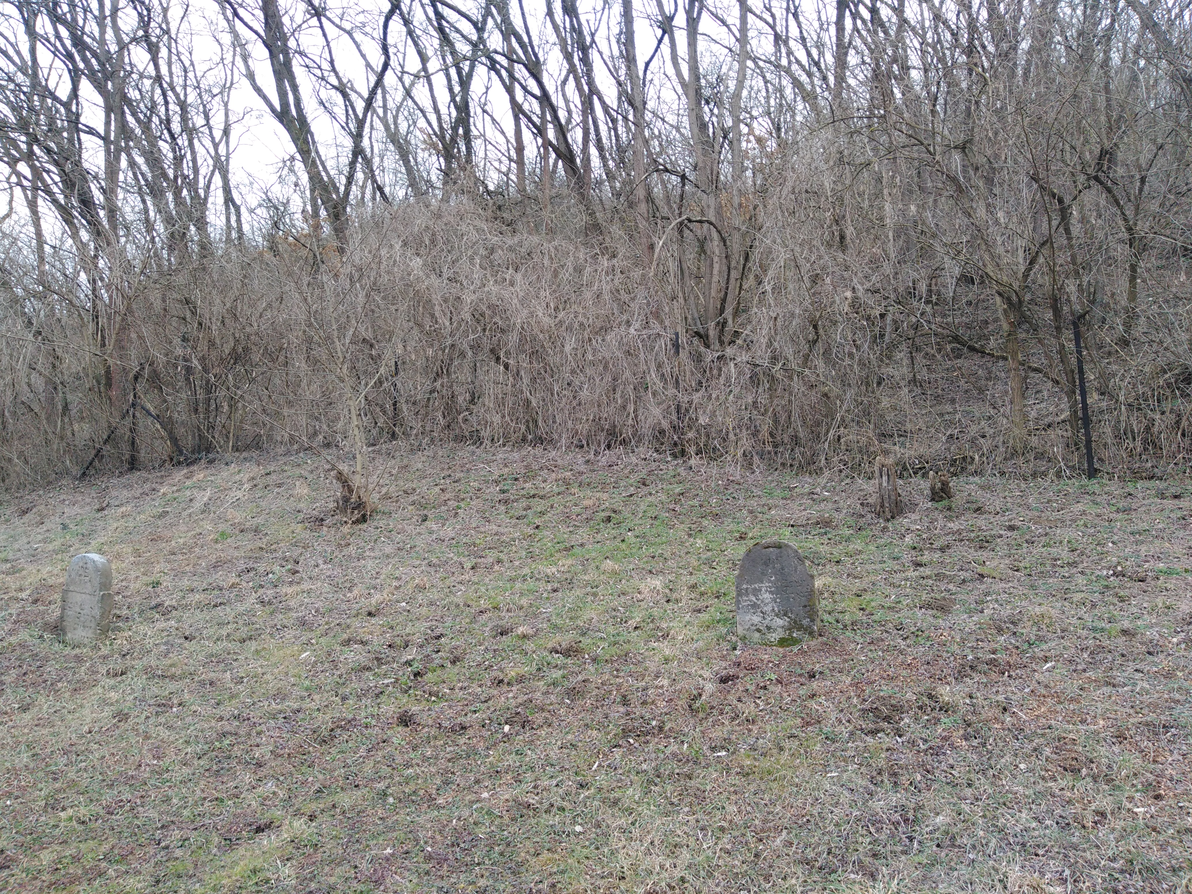 cemetery2019_1